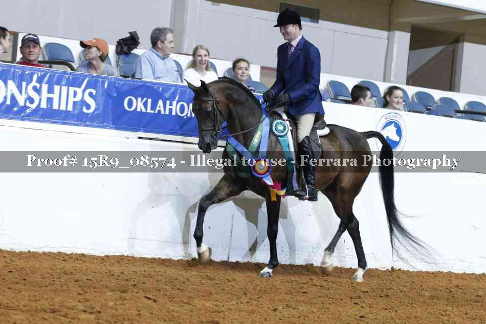 Proof Number 15R9_08574