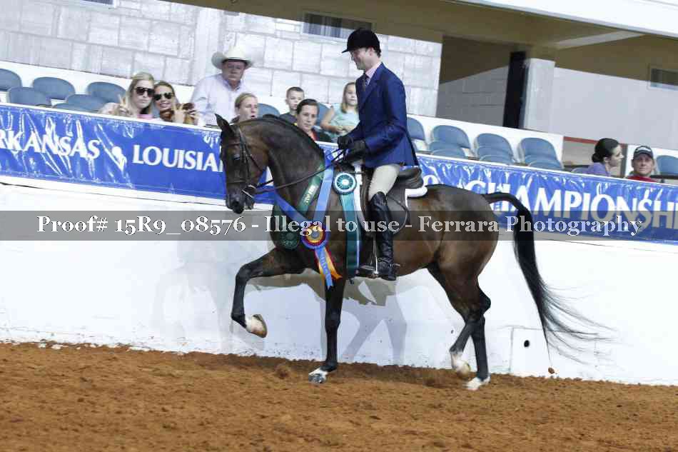 Proof Number 15R9_08576