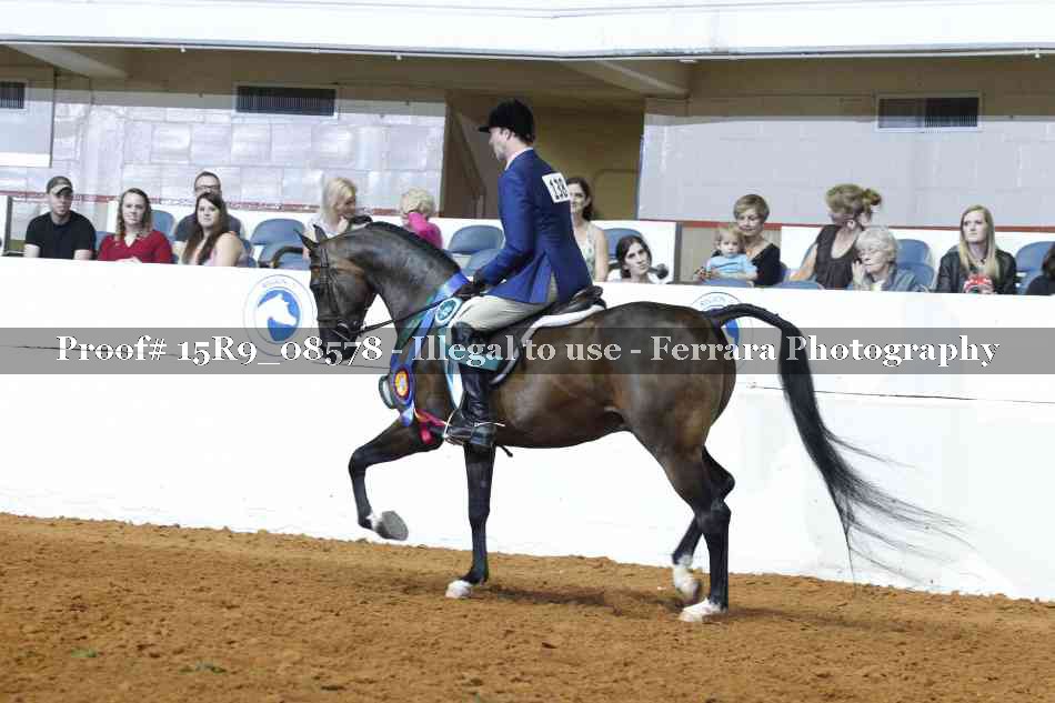 Proof Number 15R9_08578
