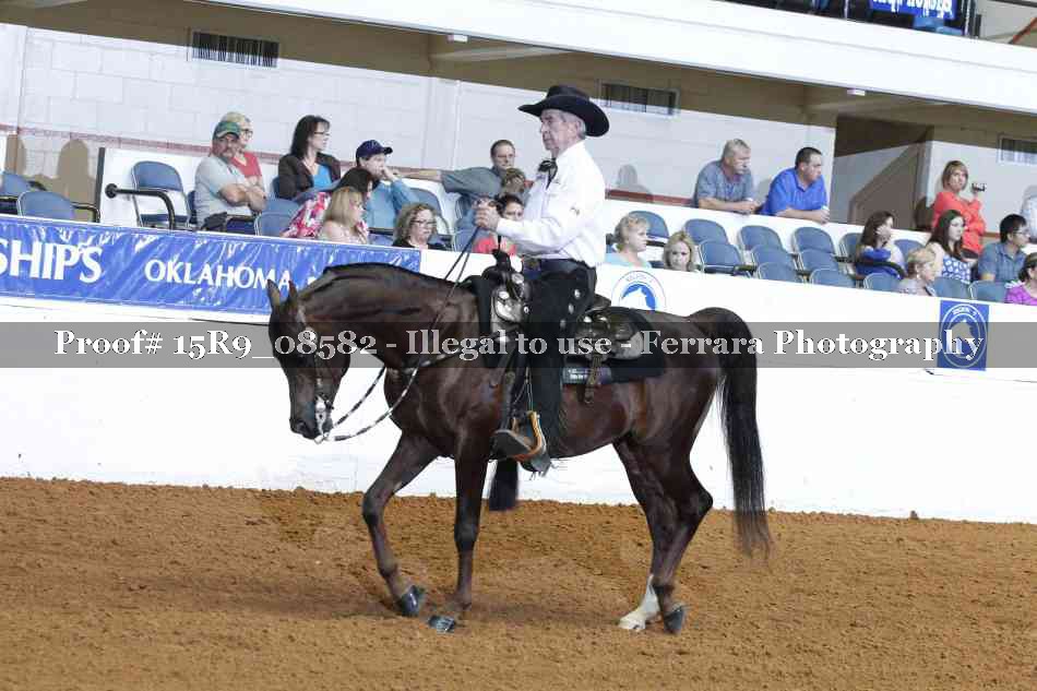 Proof Number 15R9_08582
