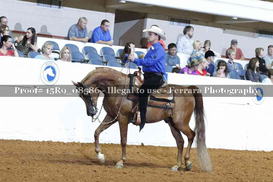 Proof Number 15R9_08586