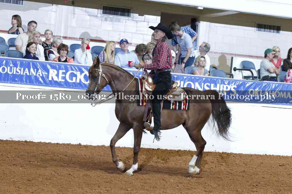 Proof Number 15R9_08592