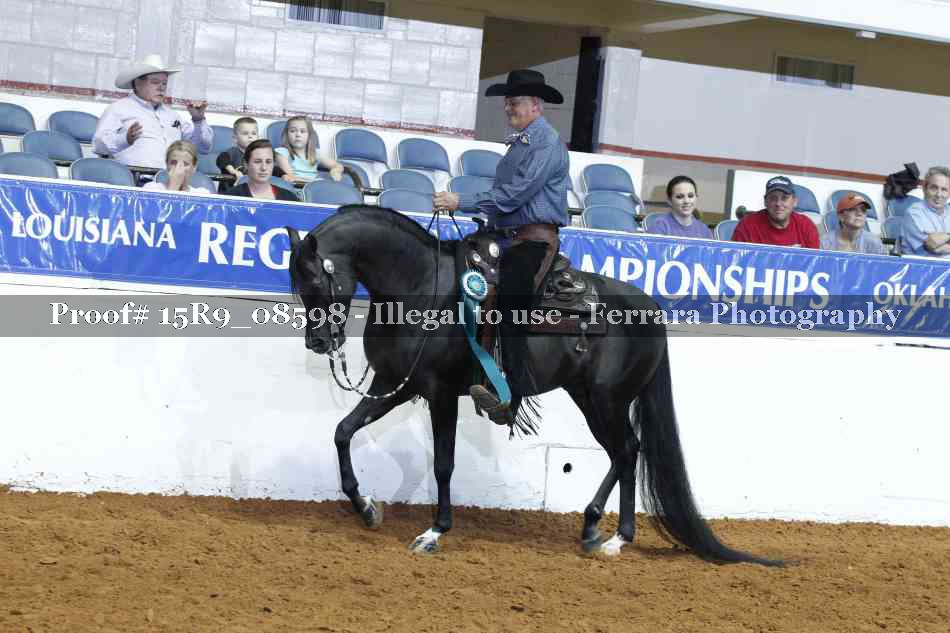 Proof Number 15R9_08598