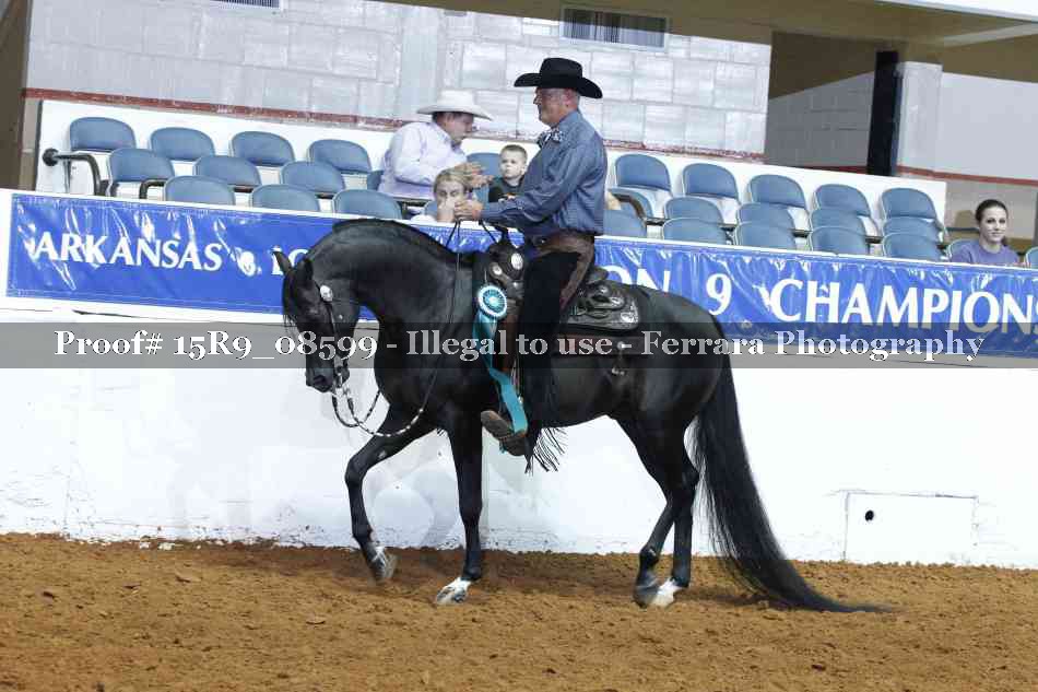 Proof Number 15R9_08599