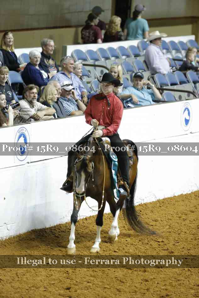 Proof Number 15R9_08604