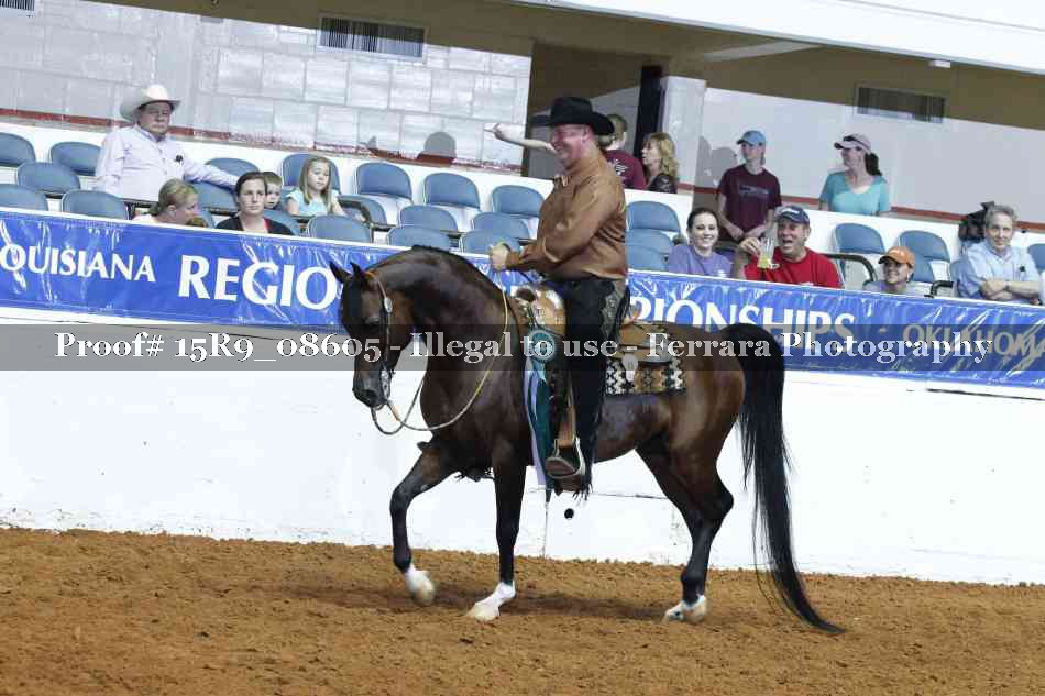 Proof Number 15R9_08605