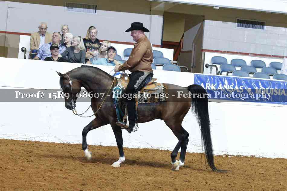 Proof Number 15R9_08607