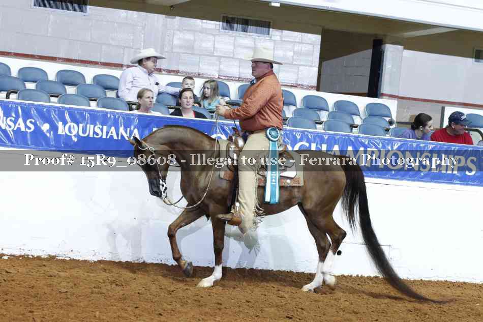 Proof Number 15R9_08608