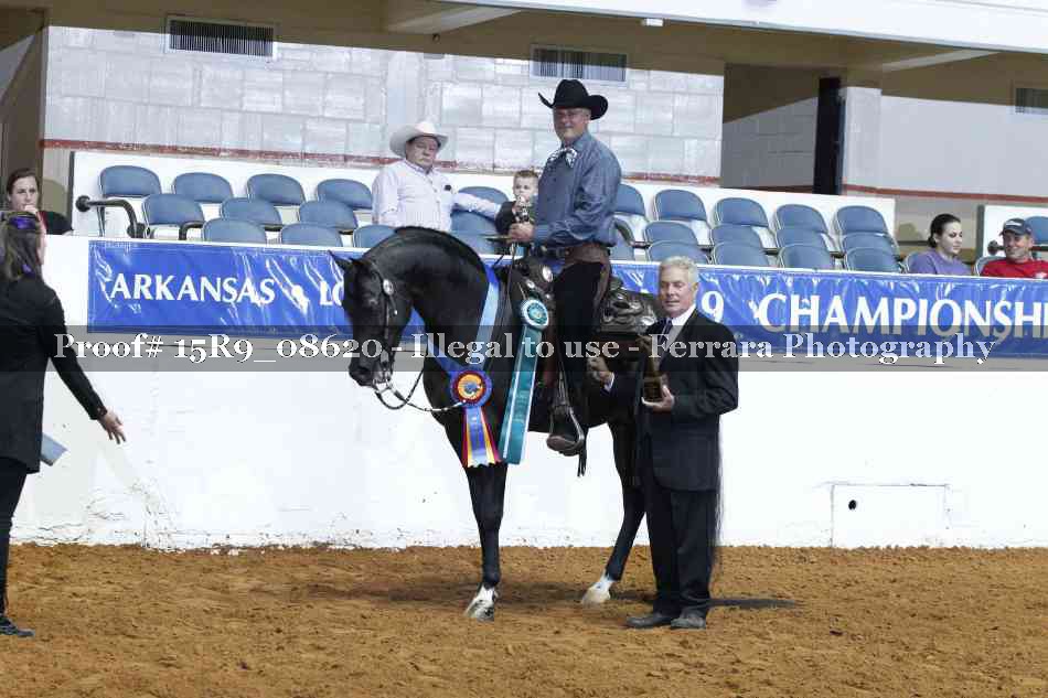 Proof Number 15R9_08620