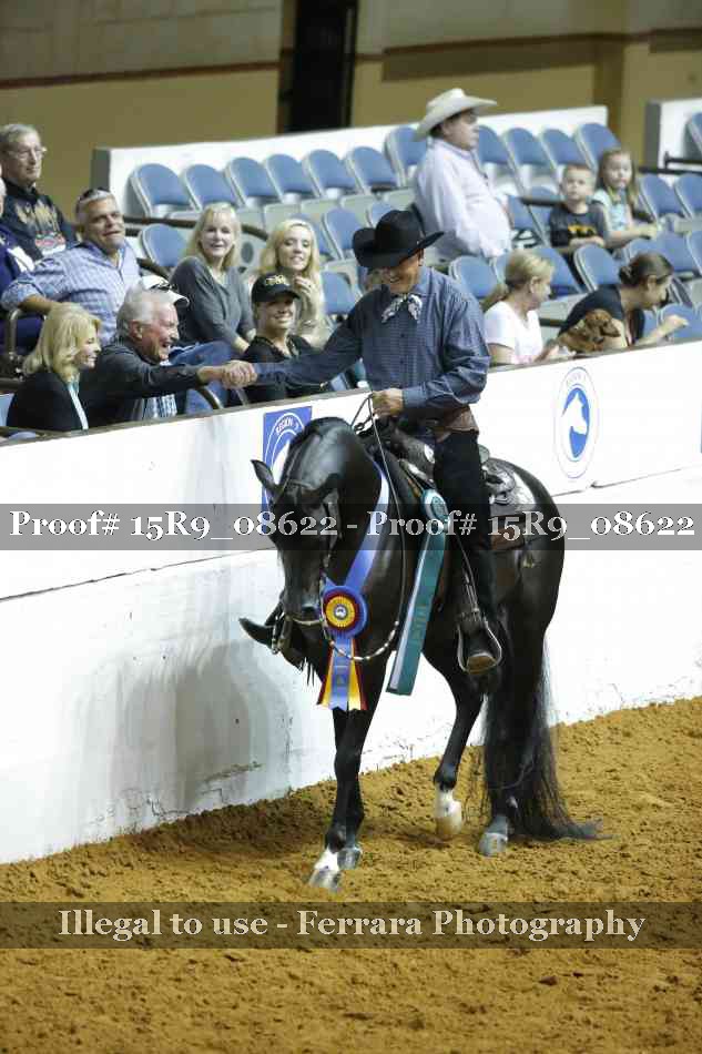 Proof Number 15R9_08622