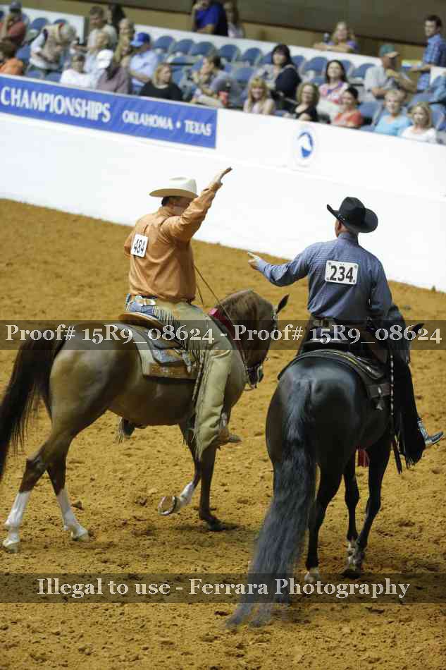 Proof Number 15R9_08624