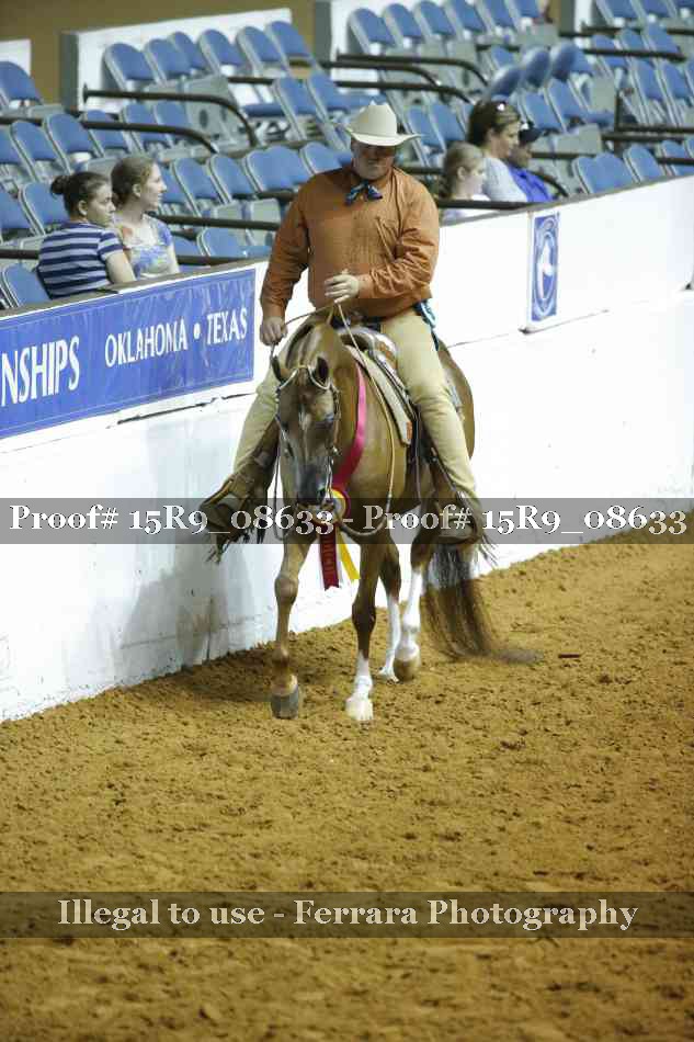 Proof Number 15R9_08633