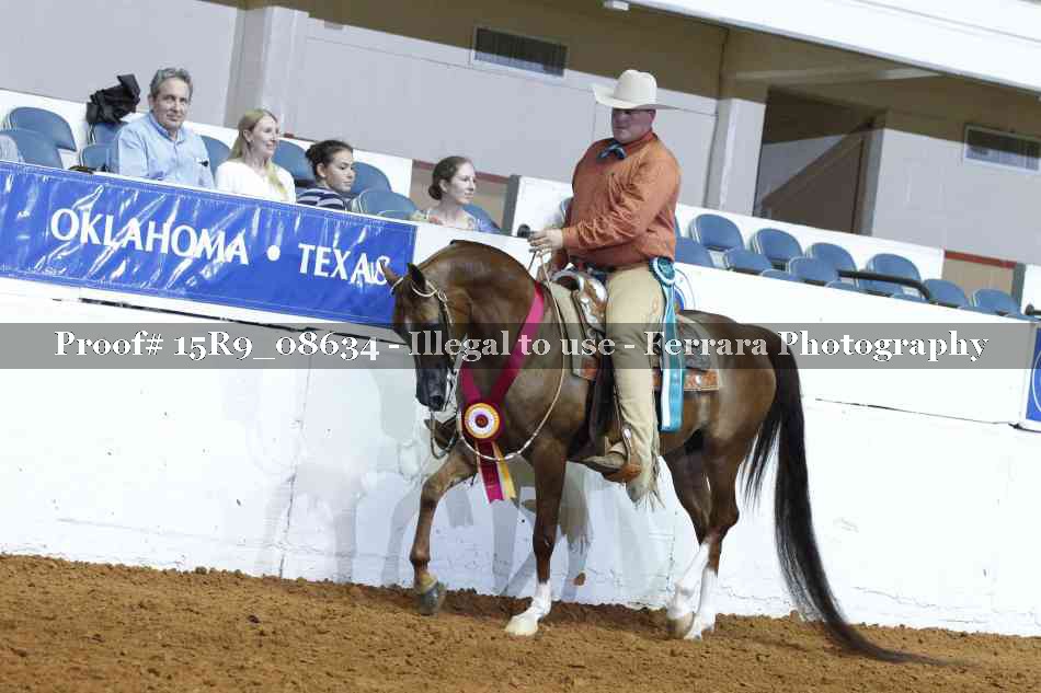 Proof Number 15R9_08634