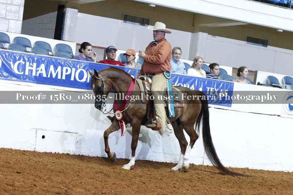 Proof Number 15R9_08635