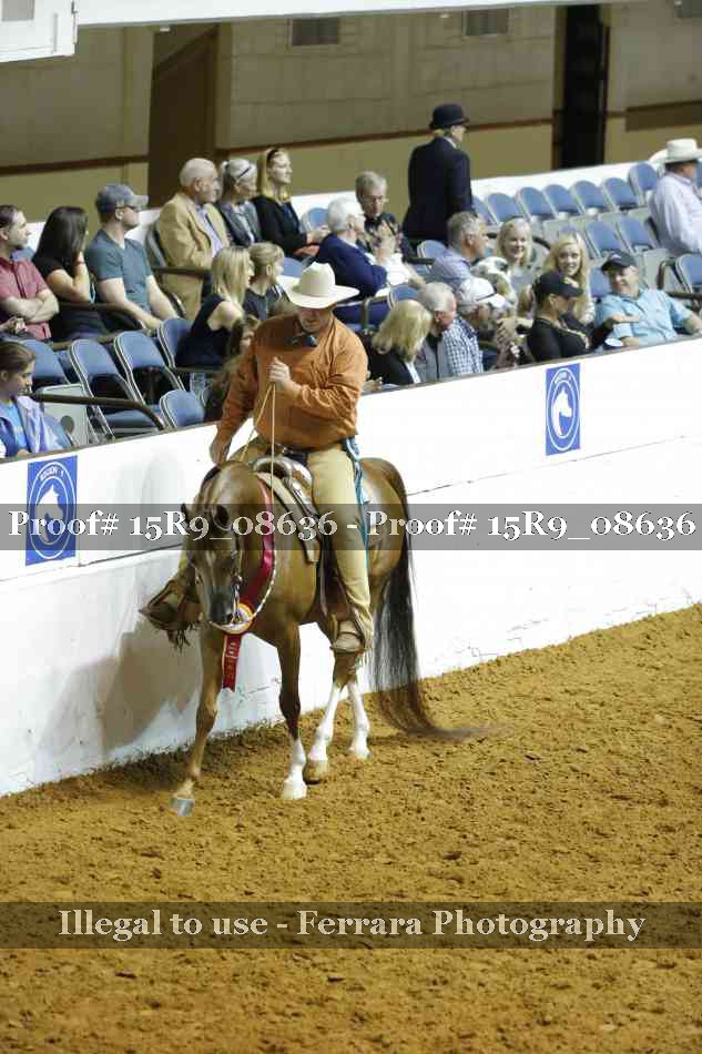 Proof Number 15R9_08636