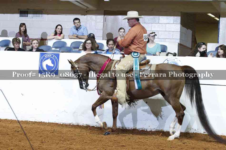 Proof Number 15R9_08637