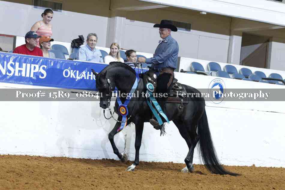 Proof Number 15R9_08641