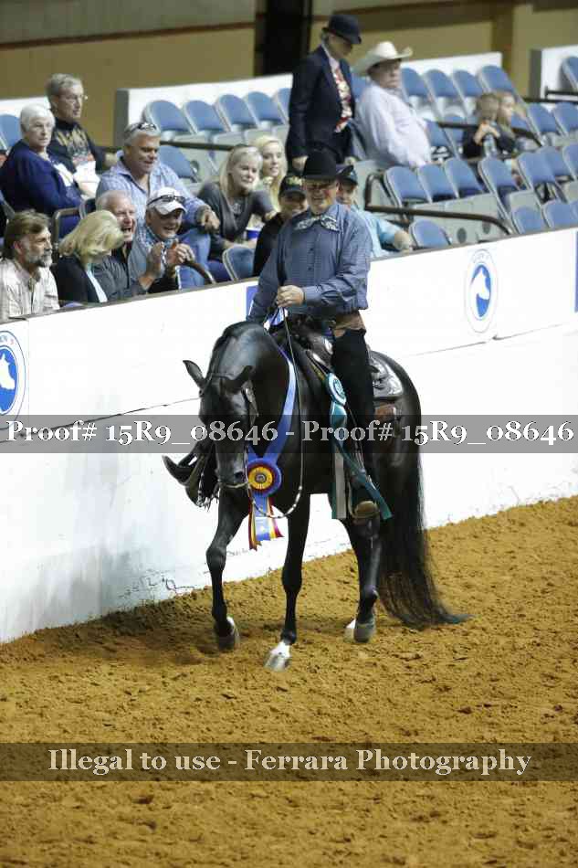 Proof Number 15R9_08646