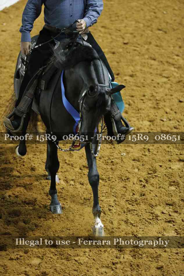 Proof Number 15R9_08651