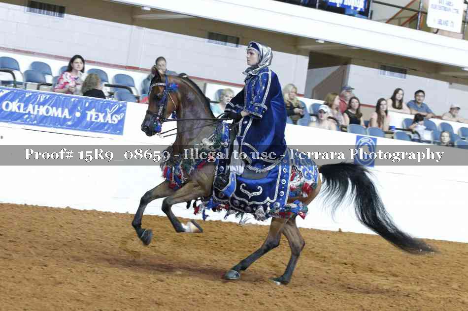 Proof Number 15R9_08659