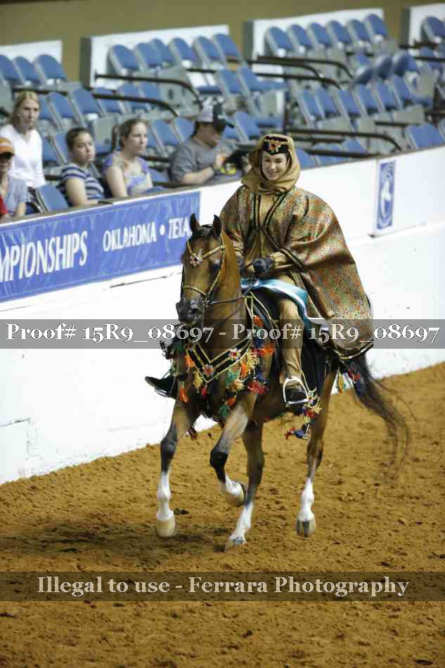 Proof Number 15R9_08697