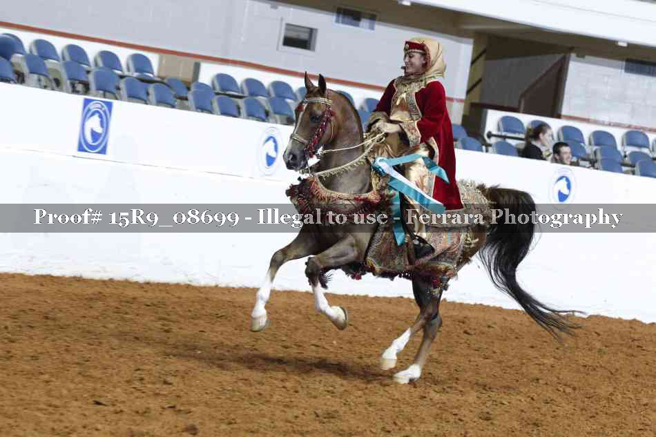 Proof Number 15R9_08699