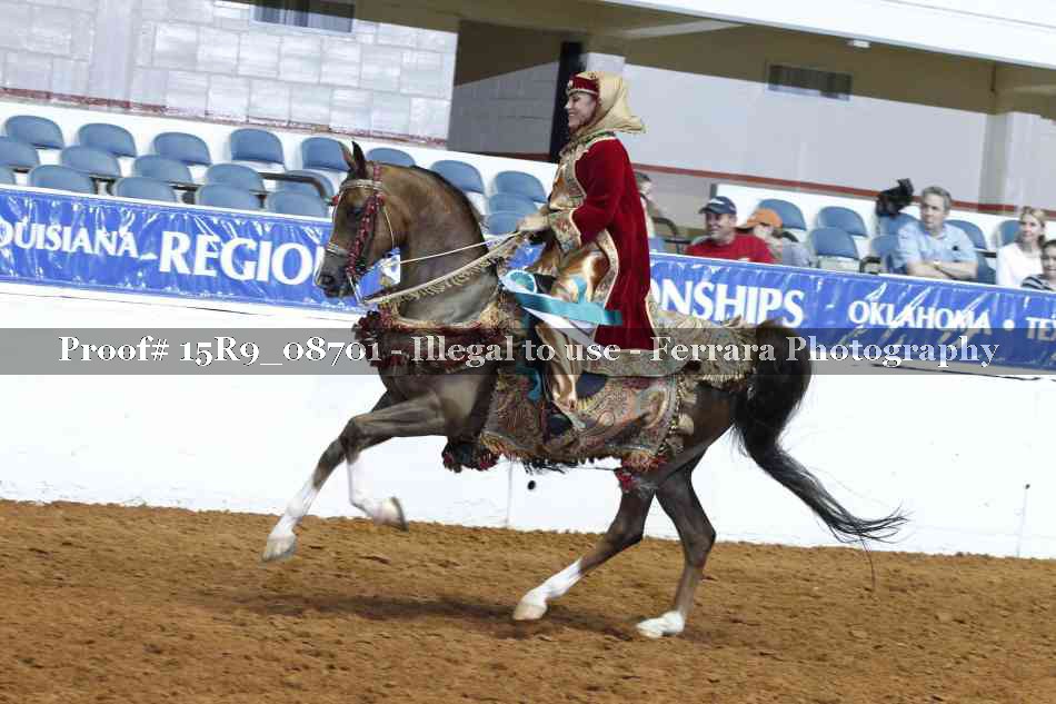 Proof Number 15R9_08701