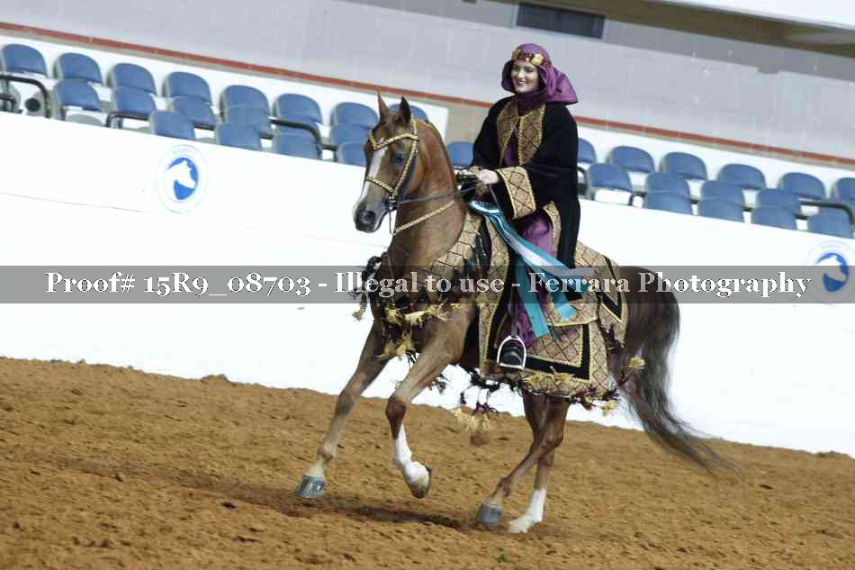 Proof Number 15R9_08703