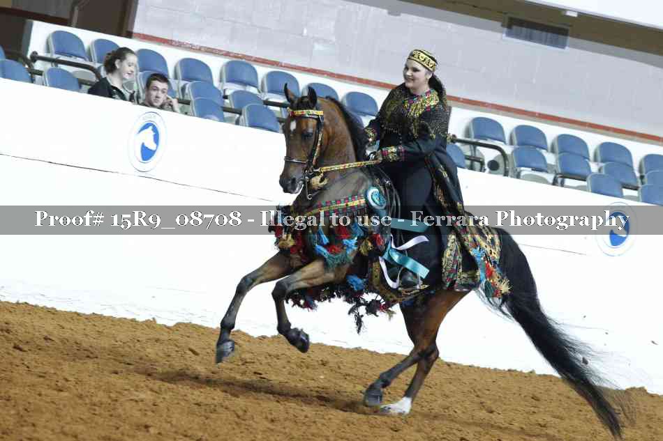Proof Number 15R9_08708