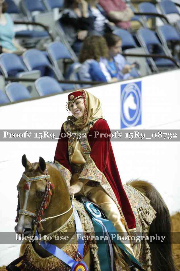 Proof Number 15R9_08732