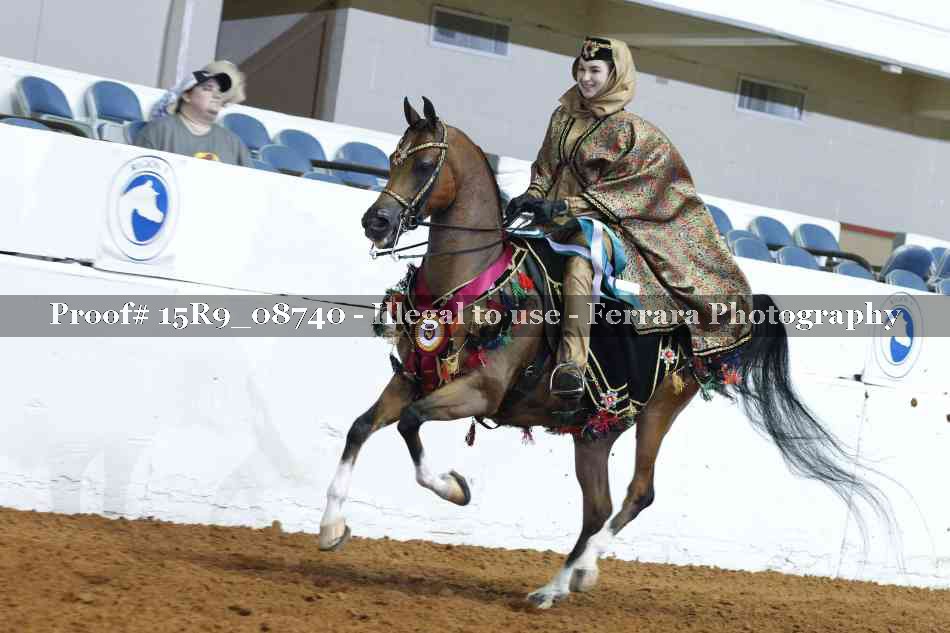 Proof Number 15R9_08740