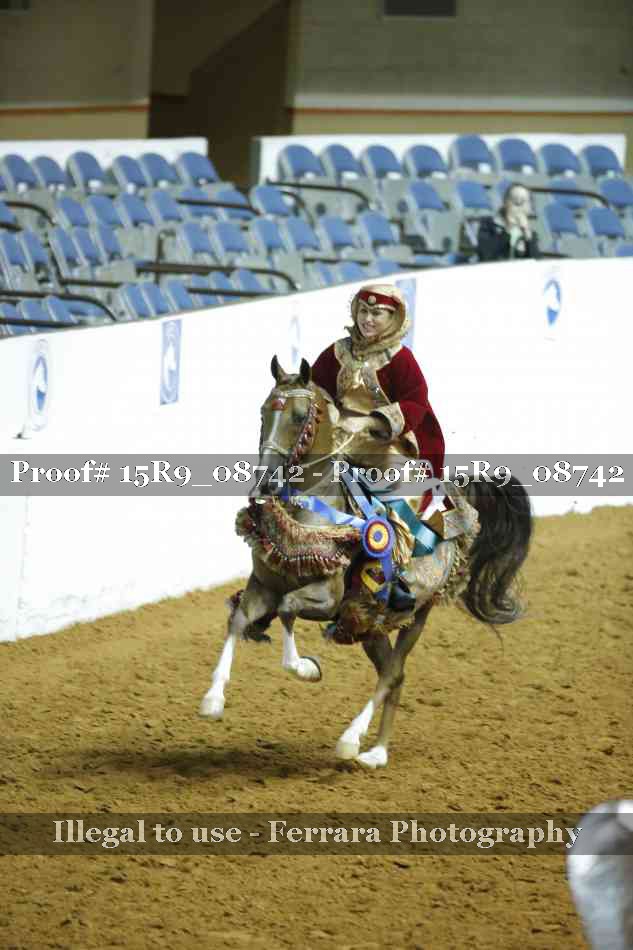 Proof Number 15R9_08742