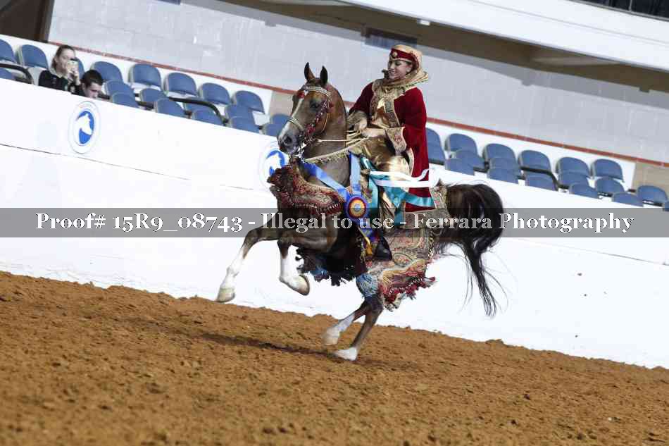 Proof Number 15R9_08743