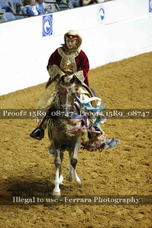 Proof Number 15R9_08747