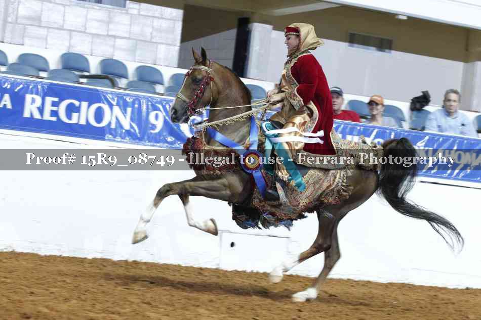 Proof Number 15R9_08749