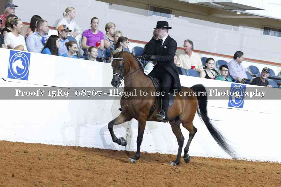 Proof Number 15R9_08767