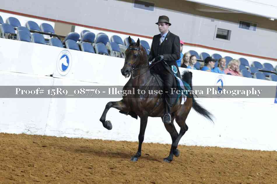 Proof Number 15R9_08776
