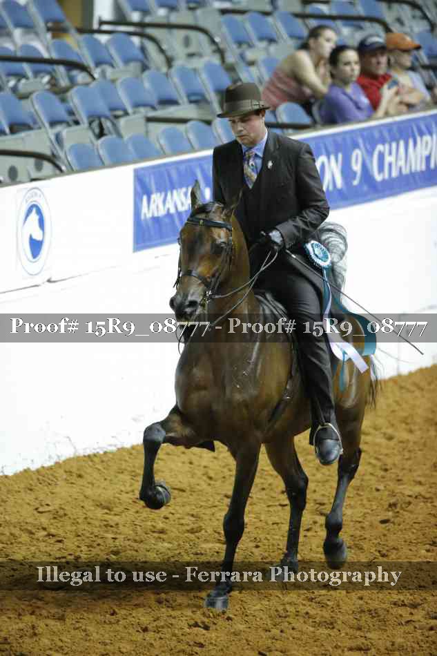 Proof Number 15R9_08777