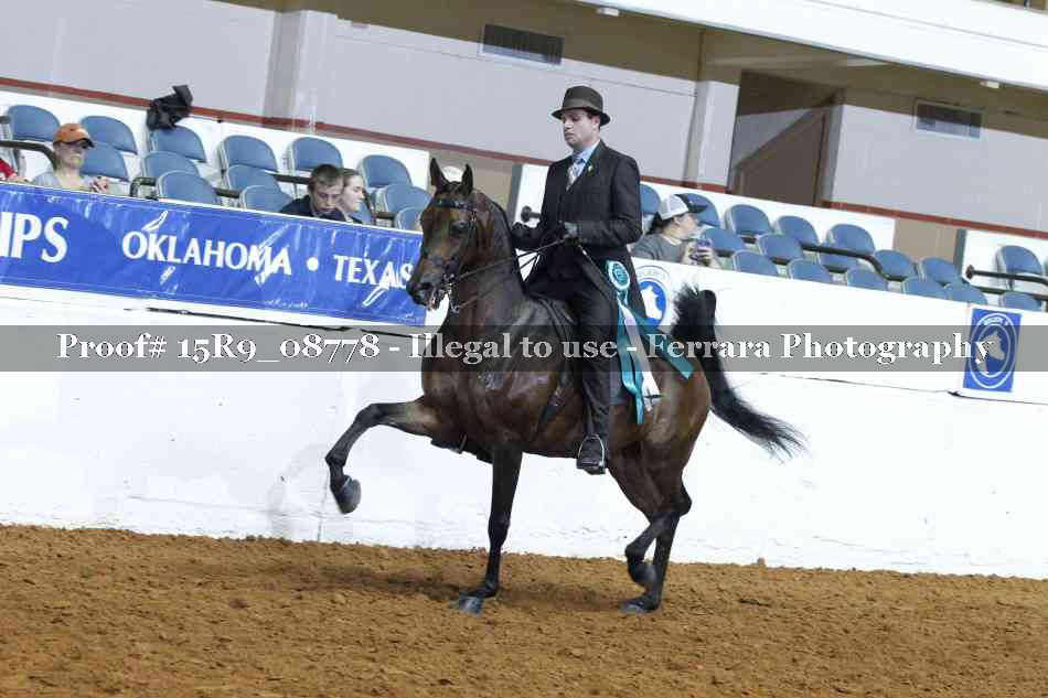 Proof Number 15R9_08778