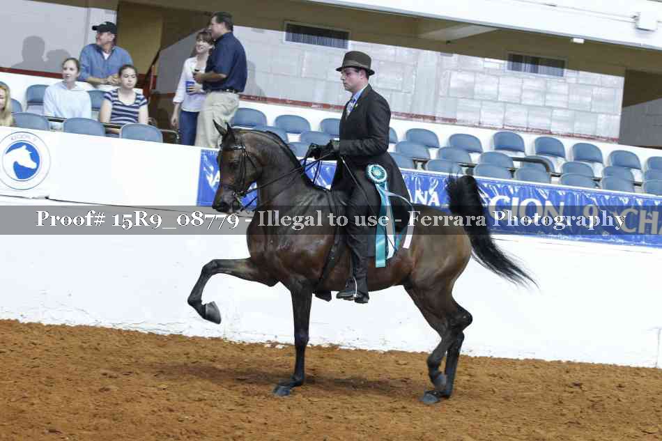 Proof Number 15R9_08779