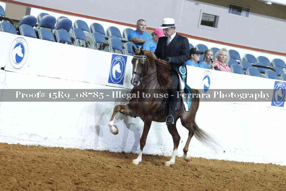 Proof Number 15R9_08785