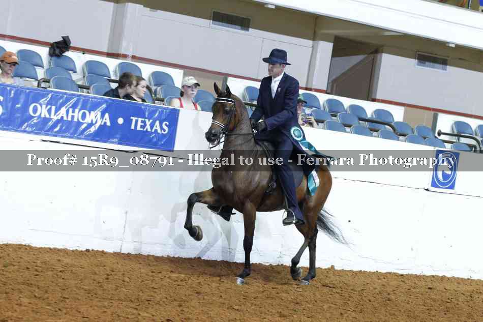 Proof Number 15R9_08791