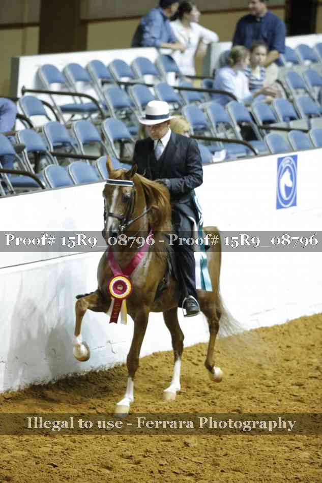 Proof Number 15R9_08796