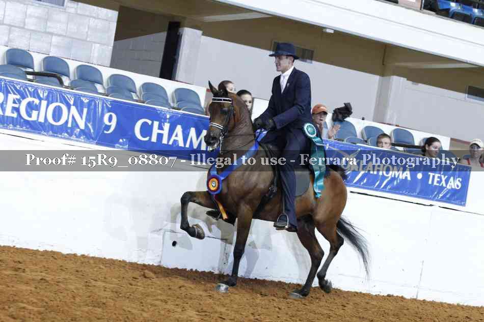 Proof Number 15R9_08807