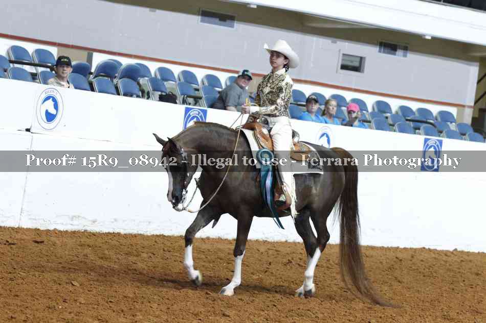 Proof Number 15R9_08942