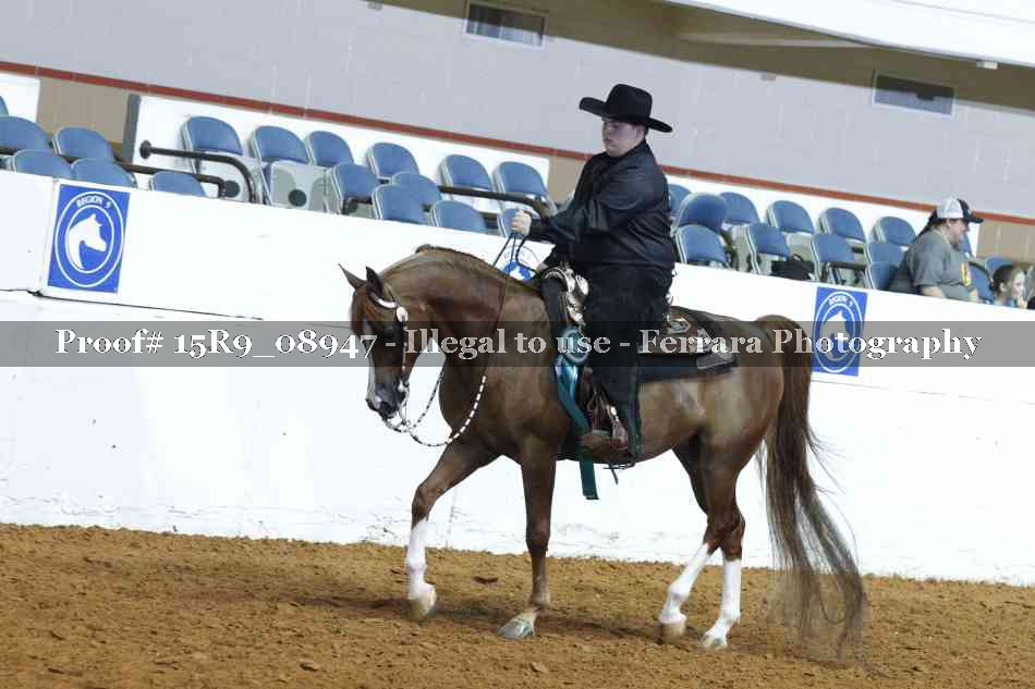 Proof Number 15R9_08947