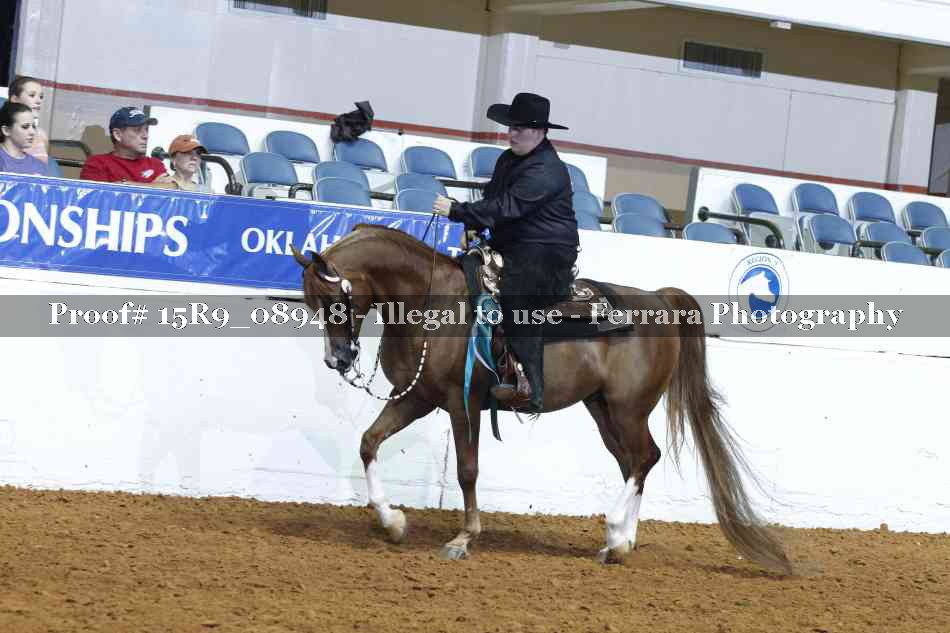 Proof Number 15R9_08948