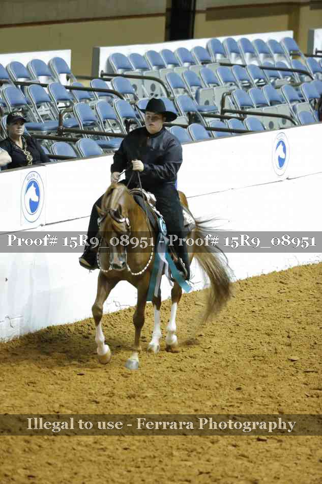 Proof Number 15R9_08951