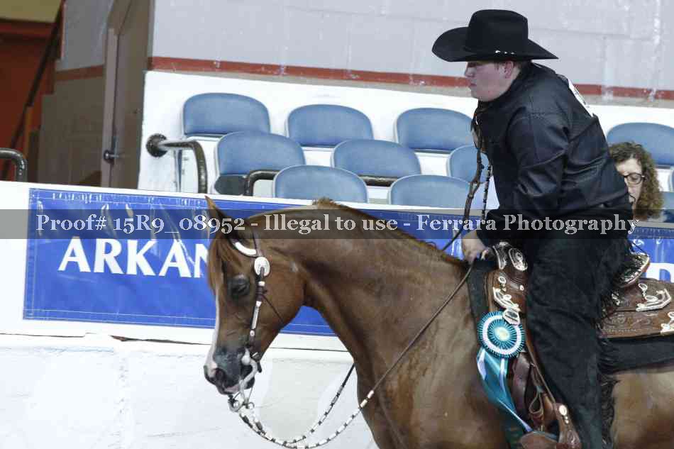 Proof Number 15R9_08952