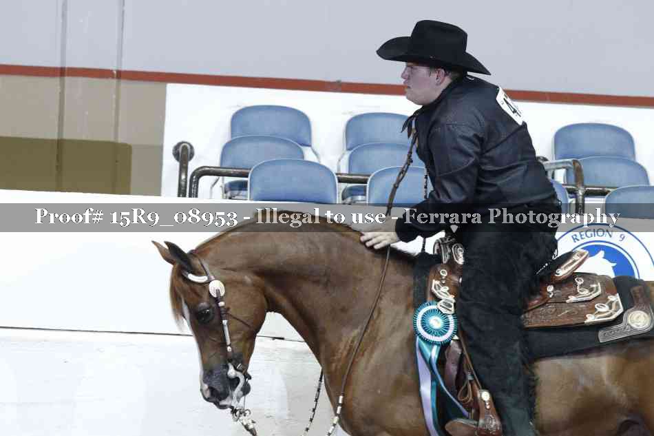 Proof Number 15R9_08953